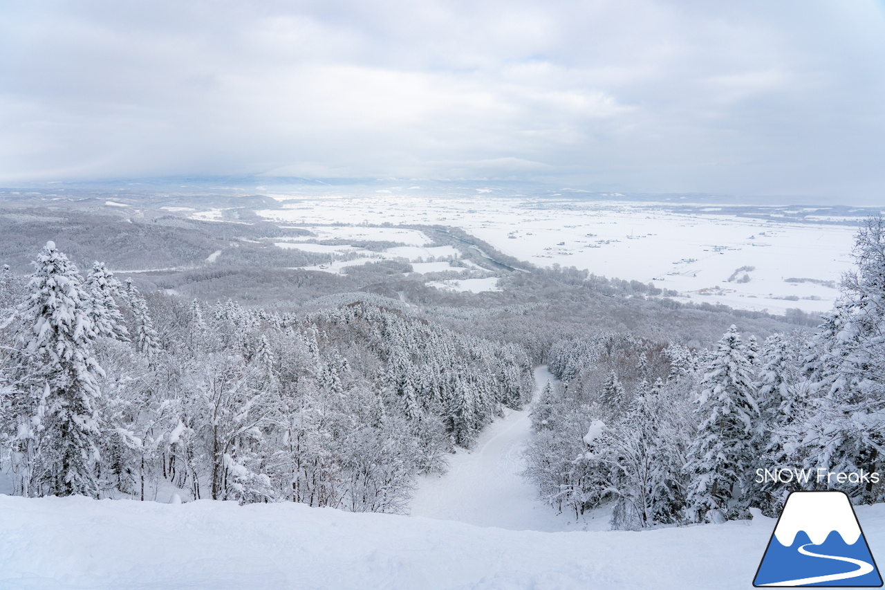 士別市日向スキー場　地元スキーヤーの皆さんと一緒に道北屈指の豪雪パウダーを心ゆくまで、滑る、滑る、滑る！